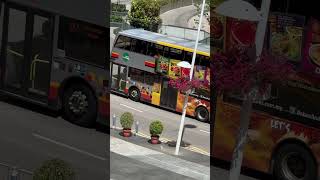 Alexander Dennis Enviro 500 SMB5084K Tower Transit Bus service 857 to Yishun Interchange