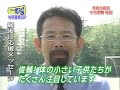 中村俊輔　　栄光と挫折