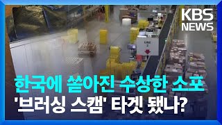 수상한 해외 소포…한국이 ‘브러싱 스캠’ 타겟 됐나? [뉴스in뉴스] / KBS  2023.07.26.