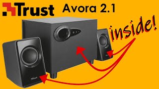 Trust Avora 2.1 Disassembly 🤔 ITA