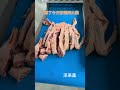 全自动鲜肉切条切块机鲜鸡鸭鱼切块机