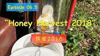 2018年の採蜜 6月・7月 (Honey Harvest 2018 )