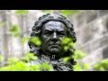 Bach - Brandenburg Concerto No. 1 In F Major, BWV 1046