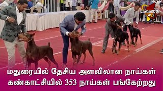 மதுரையில் தேசிய அளவிலான நாய்கள் கண்காட்சியில் 353 நாய்கள் பங்கேற்றது