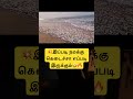 💥இப்படி நமக்கு கெடைச்சா எப்படி இருக்கும்🔥 shorts trendingshorts youtubeshorts beach beachvibes