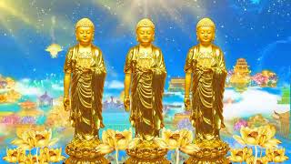Phật Dạy : Bài Văn Phát Nguyện Sám Hối Với Tất Cả Oan Gia Trái Chủ  Lão Hòa Thượng Tịnh Không
