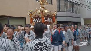 青山熊野神社　例大祭　連合神輿渡御　2024/09/29  a22