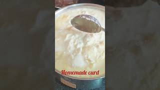 Homemade curd recipe ##quickrecipe ##summerdrink ##easyrecipe ##curd ##curdrecipe ##healthyfood#food