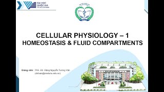 Sinh lý tế bào 1 - Cân bằng nội môi, các khoang dịch của cơ thể