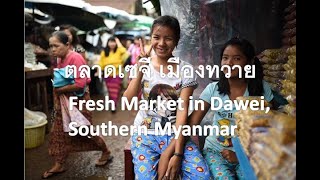 นำเที่ยวตลาดใหญ่เมืองทวาย Ze Gyi Market in Dawei, Southern Myanmar