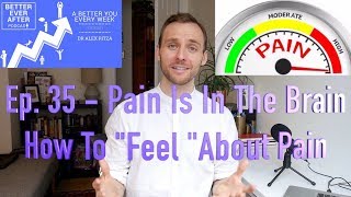 How To Have And Feel Less Pain: How pain works, why we feel it and what it means to you