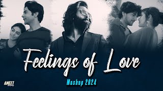 Feelings of Love Mashup 2024 | Arijit Singh Songs | Best of Love Romantic Mashup