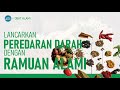 Lancarkan  Peredaran Darah dengan Bahan Alami Ini | Hidup Sehat tvOne