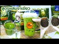 ุสูตรผสมชาเขียว (หอมโดดเด่น รสเข้ม สีสวย) ยอดชาและมังกรบิน Iced Green Tea 녹차 Grüner Tee شاي أخضر