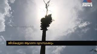 പമ്പ ത്രിവേണിയിലെ മണല്‍ നീക്കം ; മണല്‍ ഇടുന്നിടത്ത് വനമേഖല നശിച്ചു |  Pampa Thriveni Sand