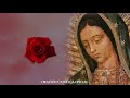 santo rosario de hoy martes 25 de mayo de 2021 misterios dolorosos rosarios a la virgen marÍa