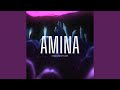 AMINA (Demo)