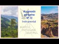 Al cansado peregrino -  Himnos Inspirados Selectos Nº 72 - Instrumental