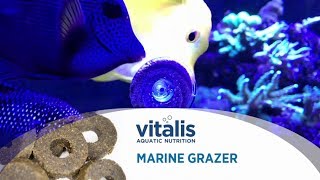 Vitalis Marine Grazer