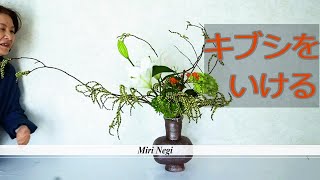 【横に伸びる生け花】_キブシの曲線を生かして_Sogetsu Ikebana