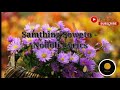 samthing soweto nodoli lyrics