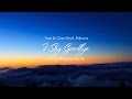 Two & One Feat. Eskova - I Say Goodbye (Denis Airwave Remix) (Lyric Video)