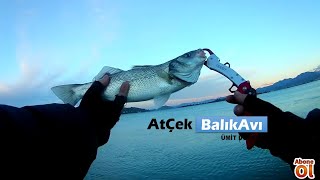 Sabah Suyu Levrek ve Lüfer Avım . WTD aksiyonu. Sea Bass Fishing.