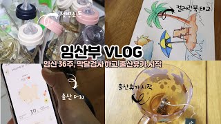 [VLOG] 임신36주| 임신 막달검사| 출산휴가| 막달 증상 | 여유롭게 태교하며 일상 보내기