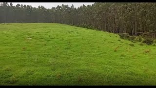 አረንጏዴ እንጦጦ፣ አዲስ አበባ፣ ኢትዮጵያ። How green is Entoto? Addis Ababa, Ethiopia. part 1