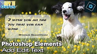 How You Can Use Adobe Photoshop Elements to Add and Edit Text Tutorial for Beginners