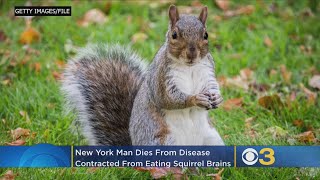 Doctors Suspect Man Died Of Extremely Rare Disease After Eating Squirrel Brains