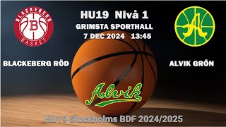 HU19 ALVIK BASKET  - BLACKEBERG