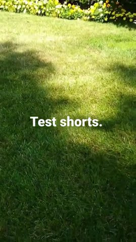 Test Shorts Youtube