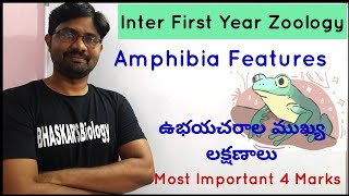 Amphibia Features | ఉభయచరాల ముఖ్య లక్షణాలు |Animal Diversity II | జంతు వైవిధ్యం II