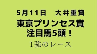 大井重賞)東京プリンセス賞の注目馬５頭！１強の予感・・・