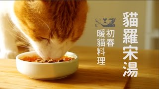 初春暖貓料理，貓羅宋湯【貓副食食譜】好味貓廚房EP35