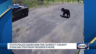State police warn of bears after one caught on camera at trooper's home