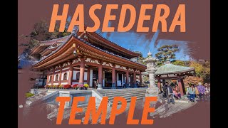 【4K】 HASEDERA TEMPLE - Kamakura! - Life in JAPAN!