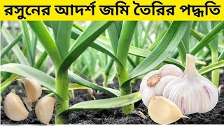 রসুন চাষের জন্য আদর্শ জমি প্রস্তুুতি । Land Preparation for Garlic Cultivation #garlic