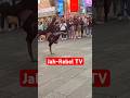 Unbelievable Street Dance Talent!