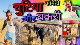 चुटिया और बकरी कॉमेडी video 😆 😆😆 | chutiya comedy video| #chutiya #bakri