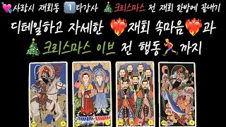 [타로/재회운/속마음]🦎 너의 재회에 대한 속마음❤️‍🔥과 크리스마스 전까지의 너의 행동