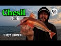 UK Beach Fishing, 2 Days On Chesil Beach. The Shore Hunter. Sea Angling 4K Fishing.