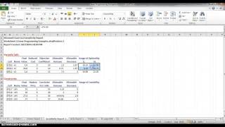 Interpreting Solver Reports for Linear Programming