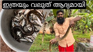 വർഷങ്ങൾക് ശേഷം ഞങ്ങൾക് കിട്ടിയ വലിയ അഥിതി | most satisfying kerala village cast net fishing