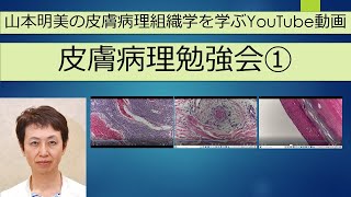 皮膚病理勉強会　第1回