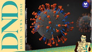 Centre confirms Nipah virus outbreak in Kozhikode | Sept 12, 2023 | Daily News Dose