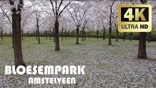 Blossom Park, Amstelveen || Spring 2022 || 4K