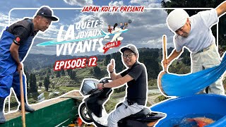 Koi Hunters - La quête des joyaux vivants - Saison 3 / Episode 12