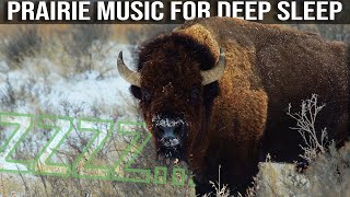 Relaxing Music for Sleep watching Wild Buffalo in Nature - Amazing Nature Relaxation Therapy in 4K